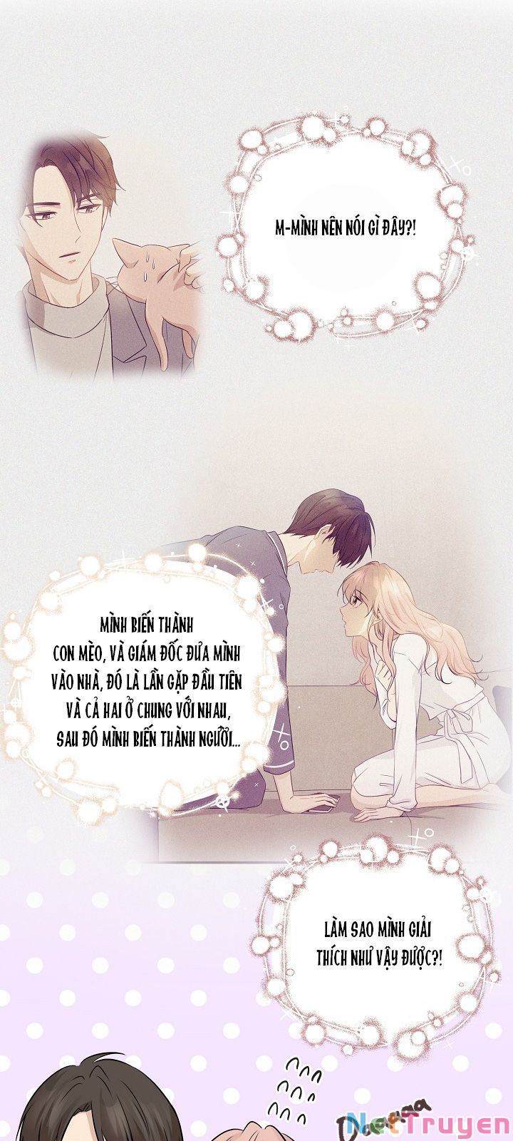 cuộc sống kỳ thú chapter 77 7
