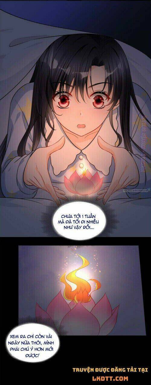 tôi trở thành tổ tông của 5 vị đại lão chapter 64 15