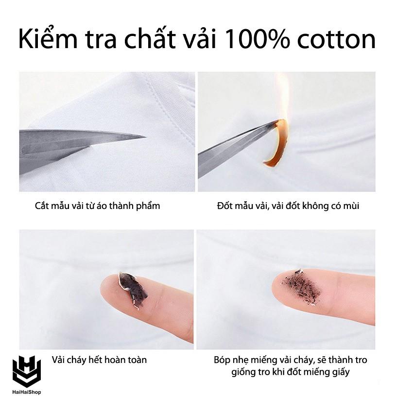 Áo Thun In Hình Tay Lỡ Form Rộng Rồng Hồng Cho Cả Nam và Nữ