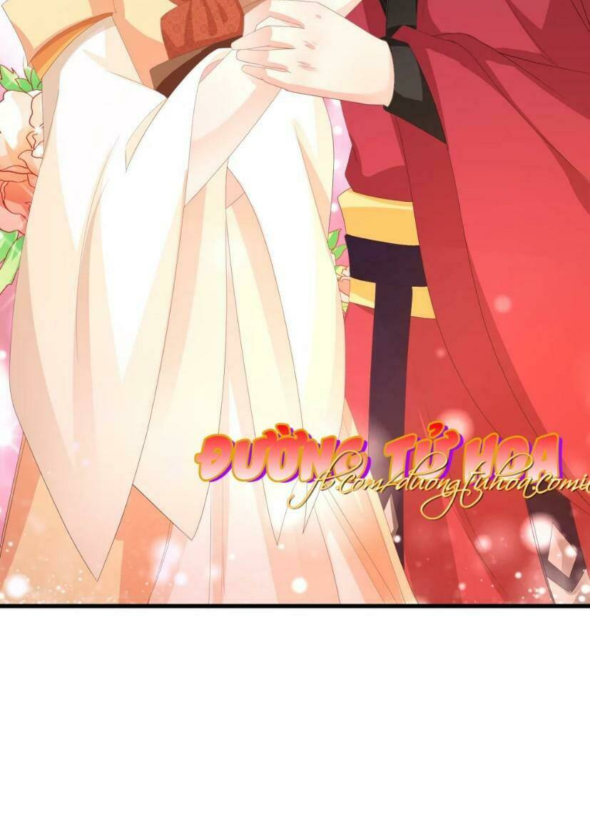 mau xuyên hướng dẫn tự cứu vật hi sinh nữ phụ chapter 10 15