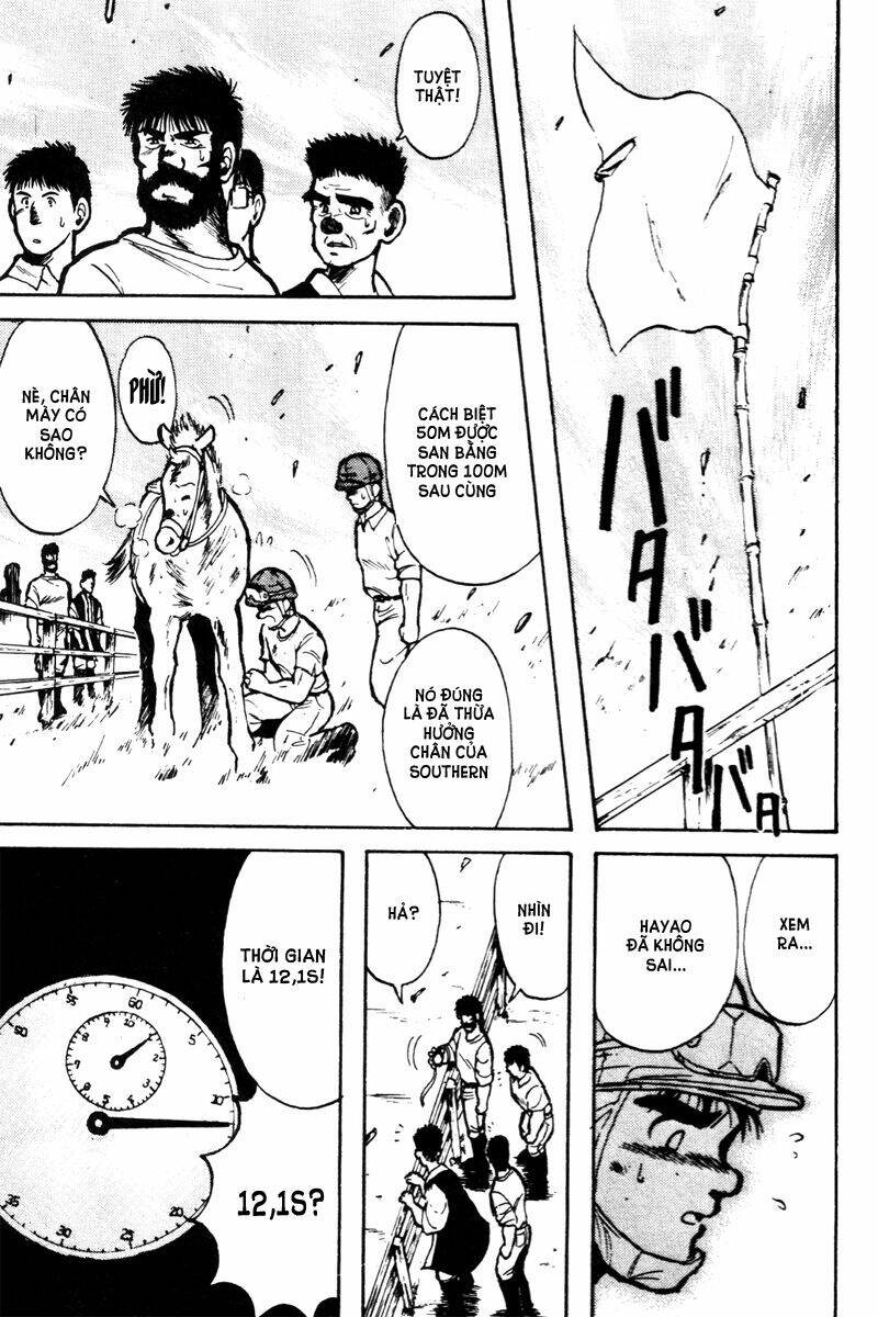 kaze no sylphid - phong mã silphid chapter 10 20