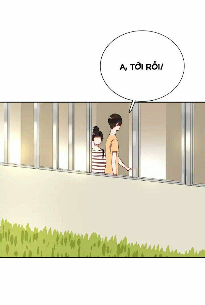 chào buổi sáng, hướng dương chapter 19 18