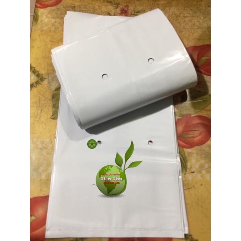 1kgTÚI BẦU TRỒNG CÂY TRONG NHÀ LƯỚI 2 DA
