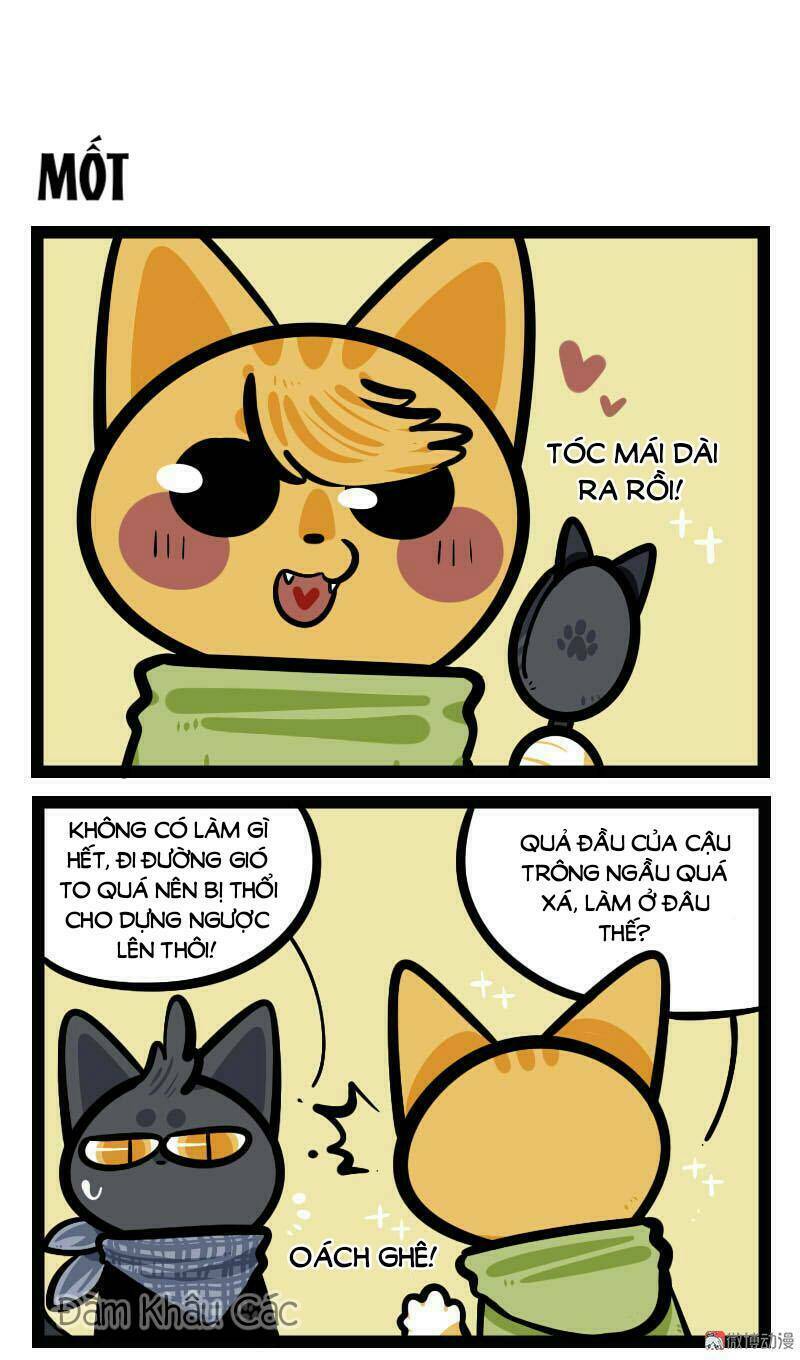 đời không như mình tưởng chapter 66 2