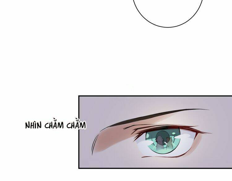 hoa nhan sách chapter 6.1 19