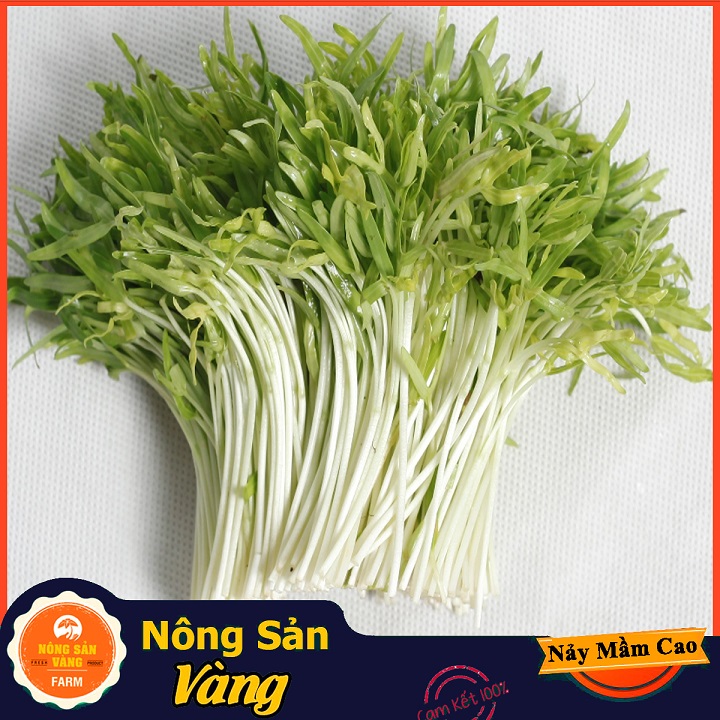 Hạt giống Rau Mầm Rau Muống ( Gói 100 Gram ) - Nông Sản Vàng