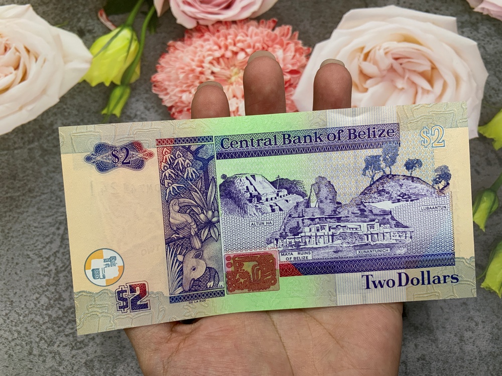 Tiền cổ Belize 2 Dollar , tiền quốc gia Trung Mỹ , mới 100% UNC, tặng túi nilon bảo quản