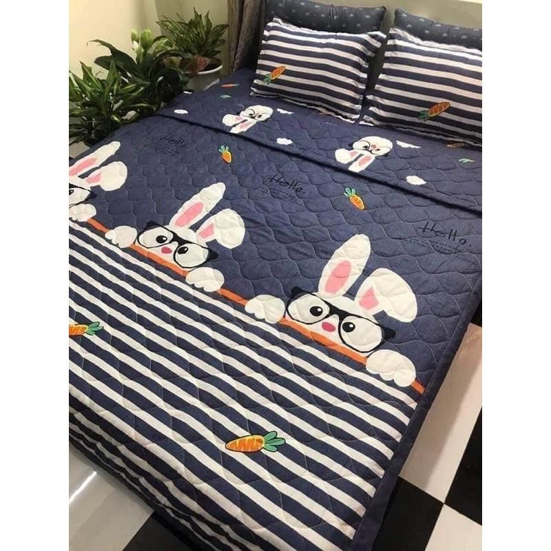 Combo 5 món chăn ga gối Cotton Poly nhiều kích cỡ