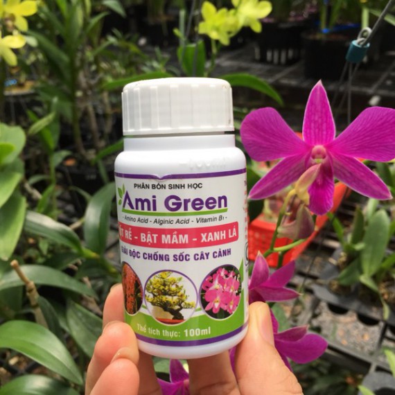 Phân Bón Lá Sinh Học Ami Green - Phân Bón Sinh Học Ami Green - Tốt Rễ Bật Mầm Xanh Lá (100ml)