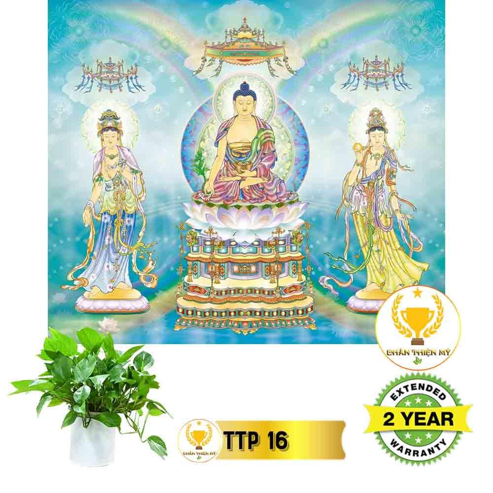 Tranh điện Tam Thế Phật_TTP2