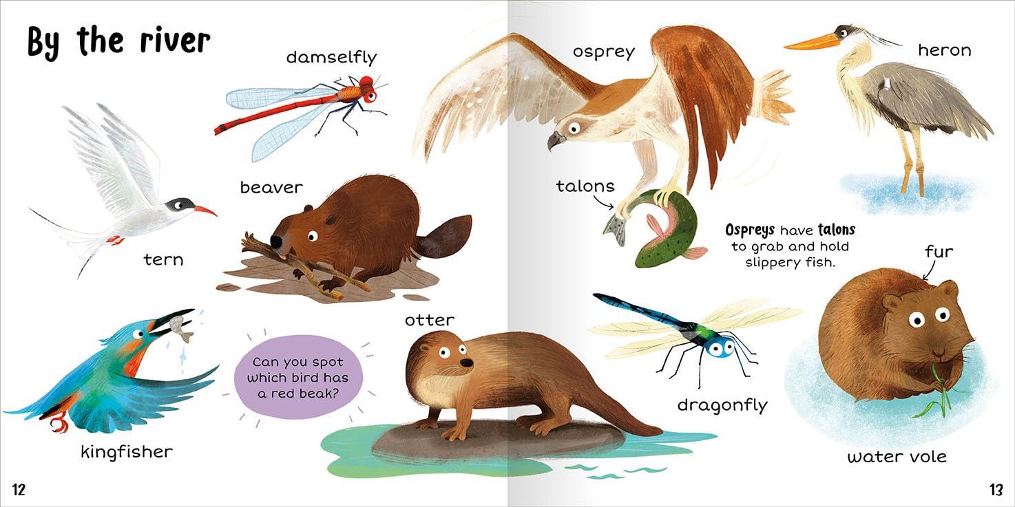 Sách ngoại văn: 100+ First Words - Nature