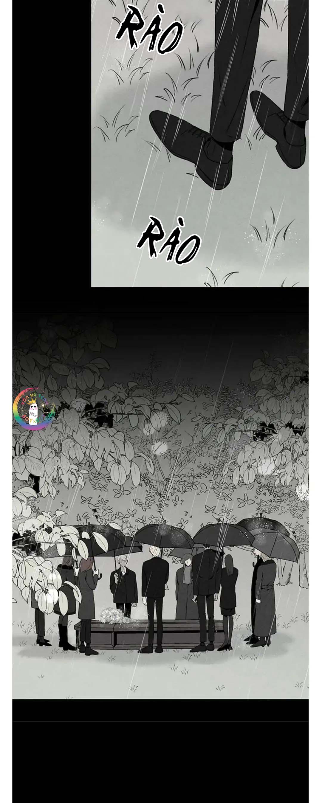 bona sort chapter 38 6