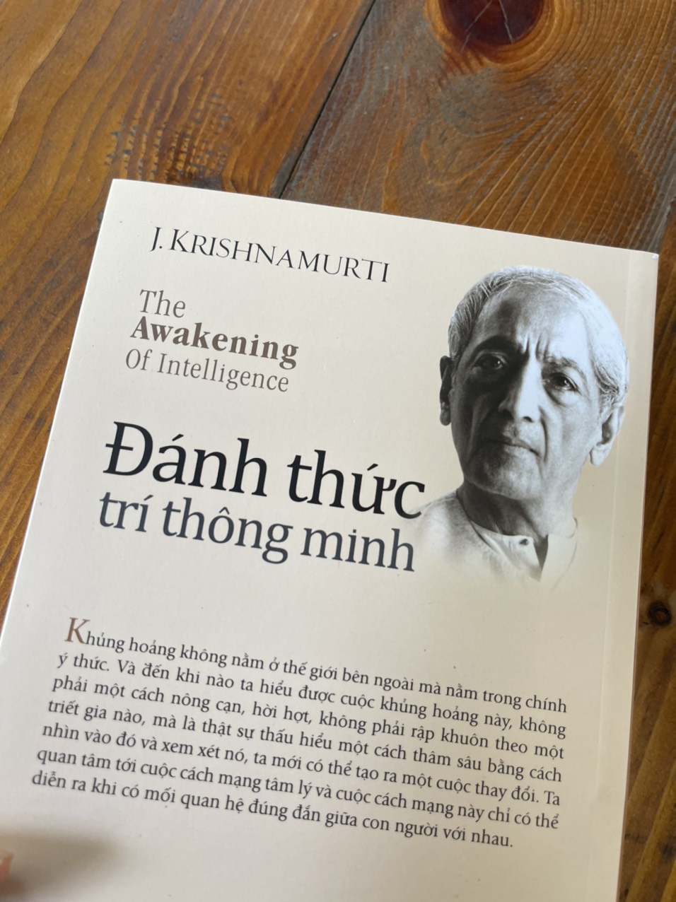 ĐÁNH THỨC TRÍ THÔNG MINH - J. Krishnamurti - Đào Hữu Nghĩa dịch -First News - Trí Việt –NXB Dân Trí