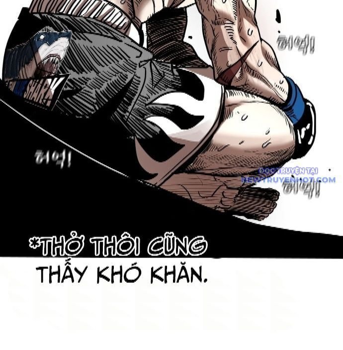 shark - cá mập chapter 340 188