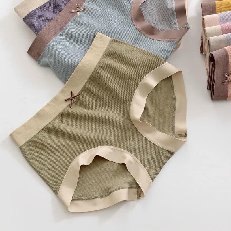 Quần lót cotton dệt kim cạp màu mặc siêu mát, siêu thấm mồ hôi