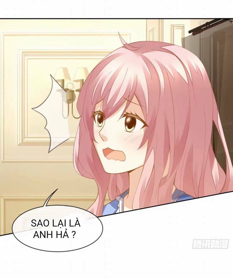 vật nuôi đáng yêu : mèo cỏ của tôi chapter 1.5 48