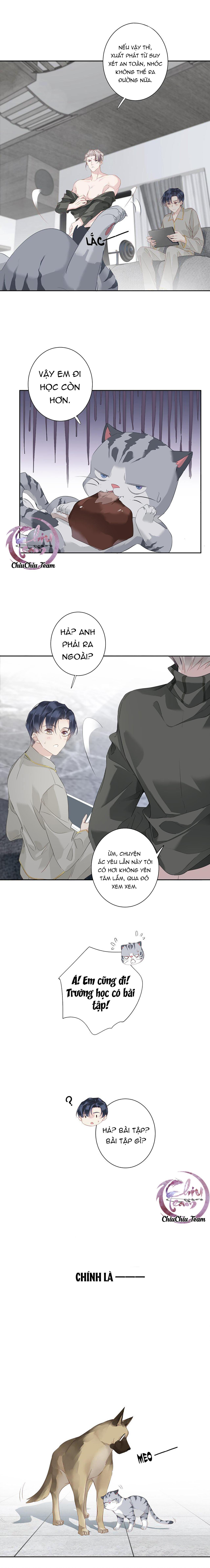 cuộc mai mối vượt giống loài chapter 52 5