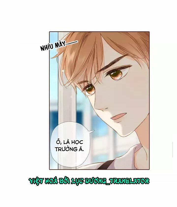 Tình yêu là màu hoa anh thảo chapter 32.2 42