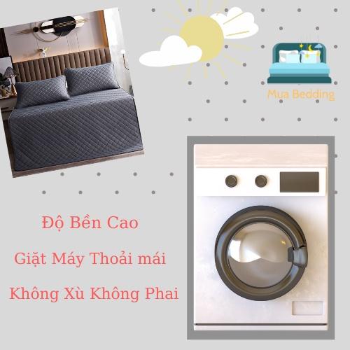 Chiếu Điều Hoà Cao Su Non Mát Lạnh 1 Màu Hàng Nhập Khẩu Cực Đẹp - Mát Mềm Mịn Giá Rẻ - bedding.1210