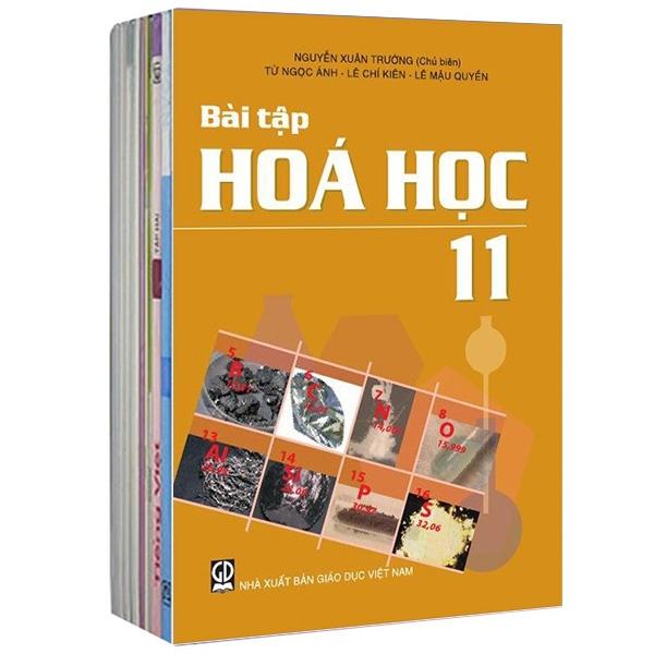 Sách Giáo Khoa Bộ Lớp 11 - Sách Bài Tập (Bộ 10 Cuốn - Không BT Tiếng Anh) (2021)