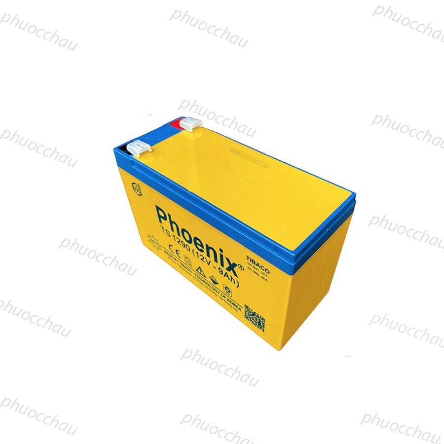 Bình Ắc Quy Khô PHOENIX TS1290 12V - 9AH Dùng Cho UPS, Loa Kéo, Bình Phun Thuốc Sâu, Cửa Cuốn