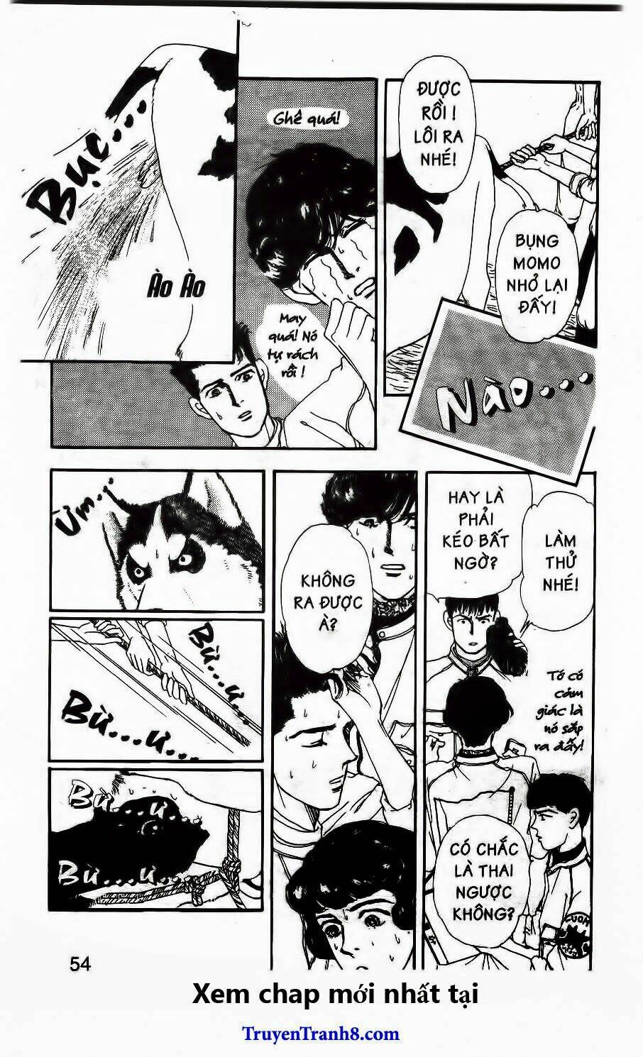 bác sĩ thú y chapter 46 13