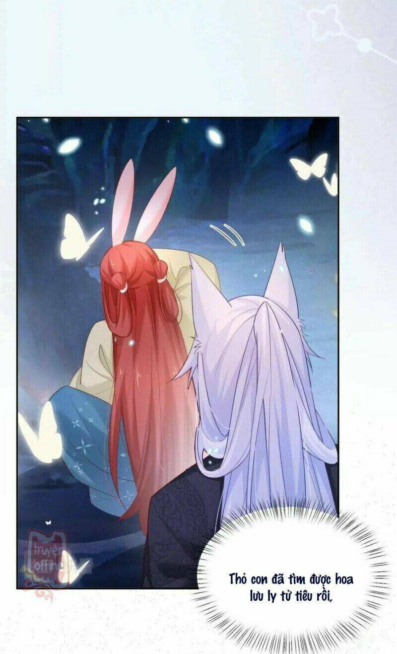 hắc hóa nam chính trực tuyến nuôi thỏ chapter 52 10