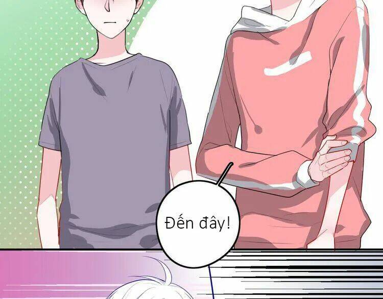 quy tắc của mỹ nam chapter 43 42