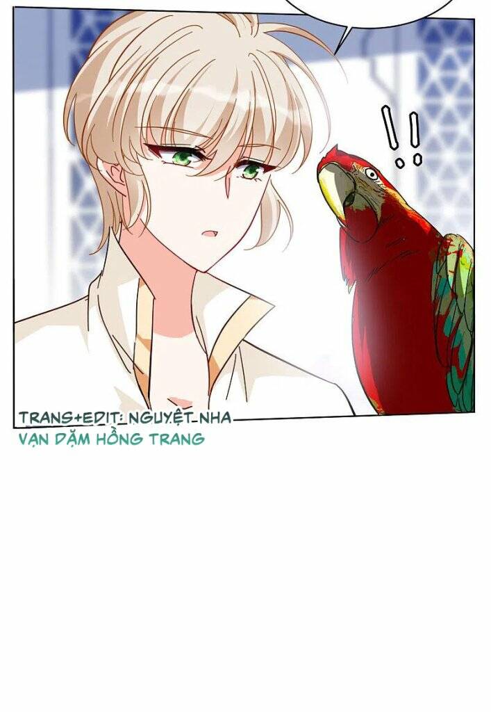 cô ấy đến rồi, xin nằm xuống! chapter 149 22