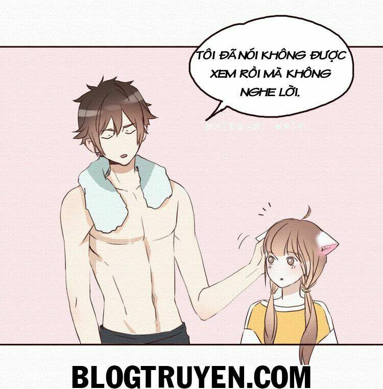 tình yêu không nói dối chapter 16 19