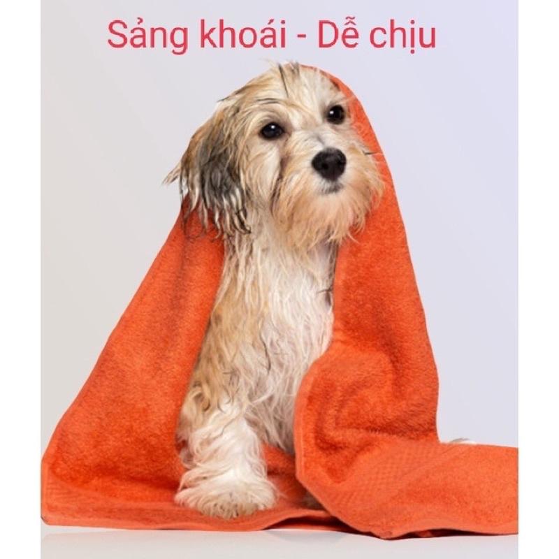Sữa tắm khô dưỡng lông- Bọt tắm khô- sữa tắm dạng bọt cho chó mèo tạo bọt DorriKey 200ml