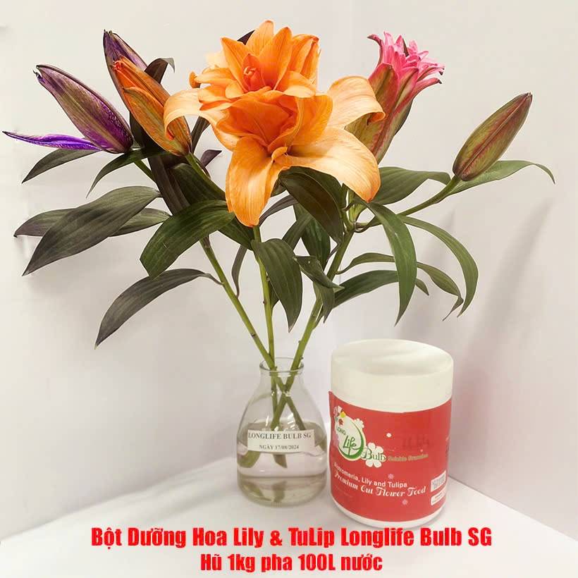 Nước Nhuộm Màu Hoa Lily &quot;100ml đậm đặc pha 1L nước màu hoàn chỉnh&quot; nhập khẩu Israel