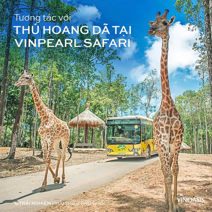 Vinpearl VinOasis Resort 5* Phú Quốc - Buffet Sáng, Vui Chơi VinWonders/ Vinpearl Safari, Công Viên Nước, Hồ Bơi, Đón Tiễn Sân Bay