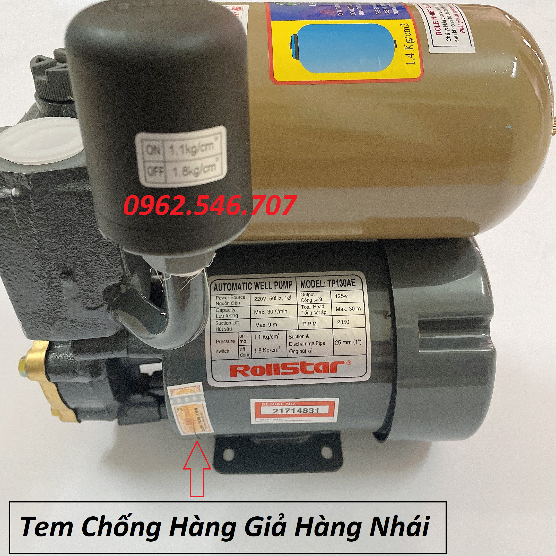 Máy Bơm Nước Tăng Áp Tự Động TP130AE - Hàng Việt Nam Chất Lượng Cao ( BH 12 Tháng )