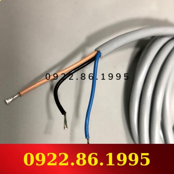 Conch Công Tắc Tiệm Cận TS-1202NA-2C Cảm Biến 4C Có Phích Cắm