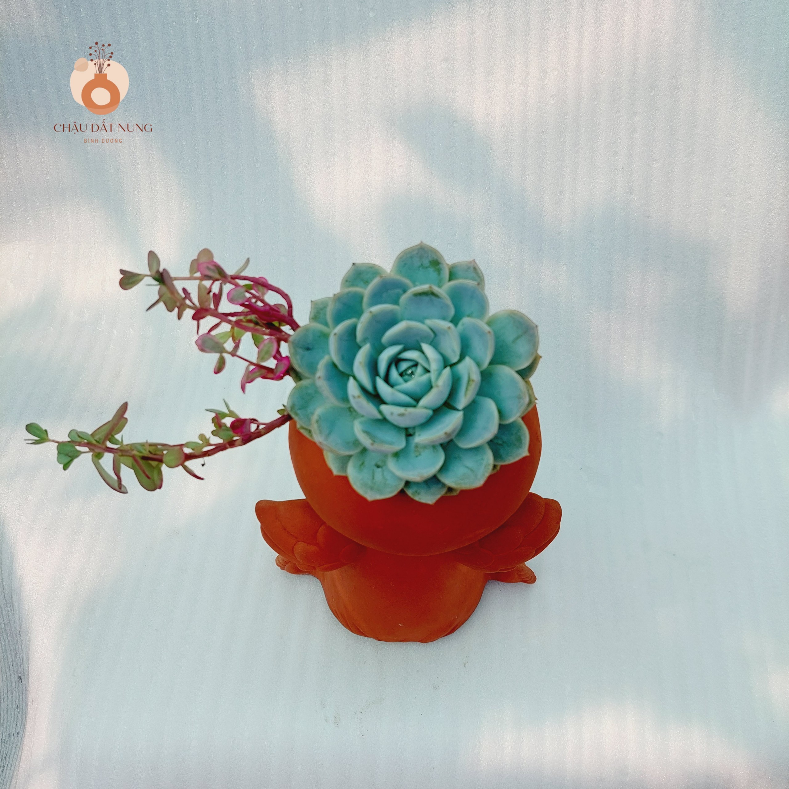 Chậu đất nung Bình Dương - Cô gái Marshal - miệng chậu 8cm, chiều cao 20cm