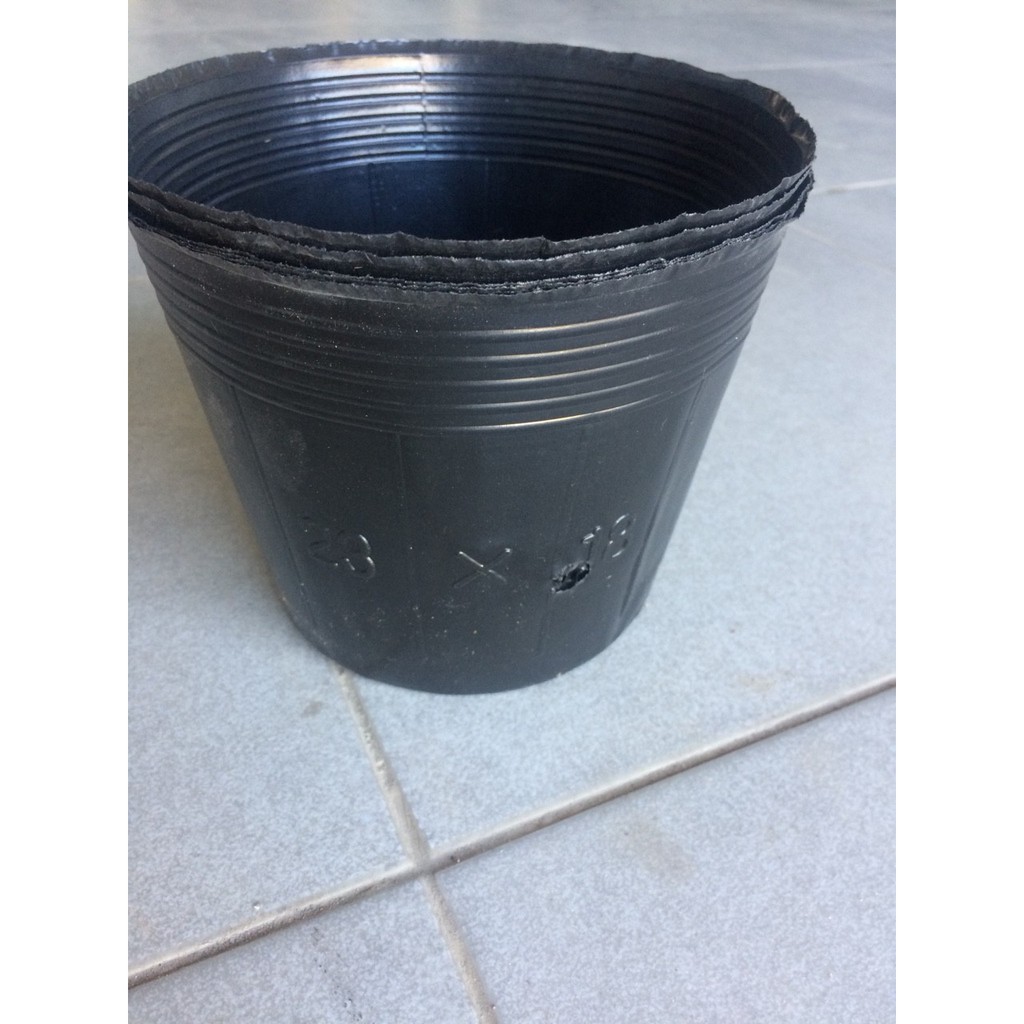 TUÍ BẦU TRÒN ĐEN ƯƠM CÂY - 1KG - CHẬU NHỰA SỬ DỤNG NHIỀU LẦN