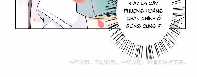 hoa nhan sách chapter 15.2 29