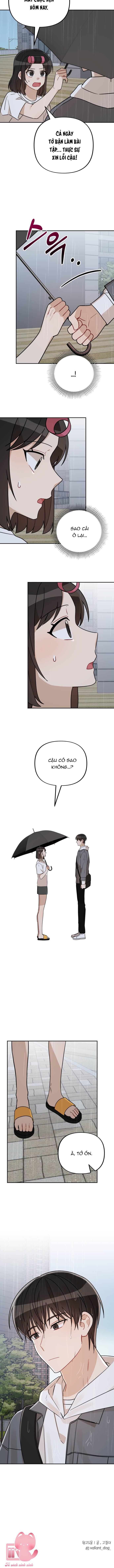 cú đấm tình yêu chapter 26 7