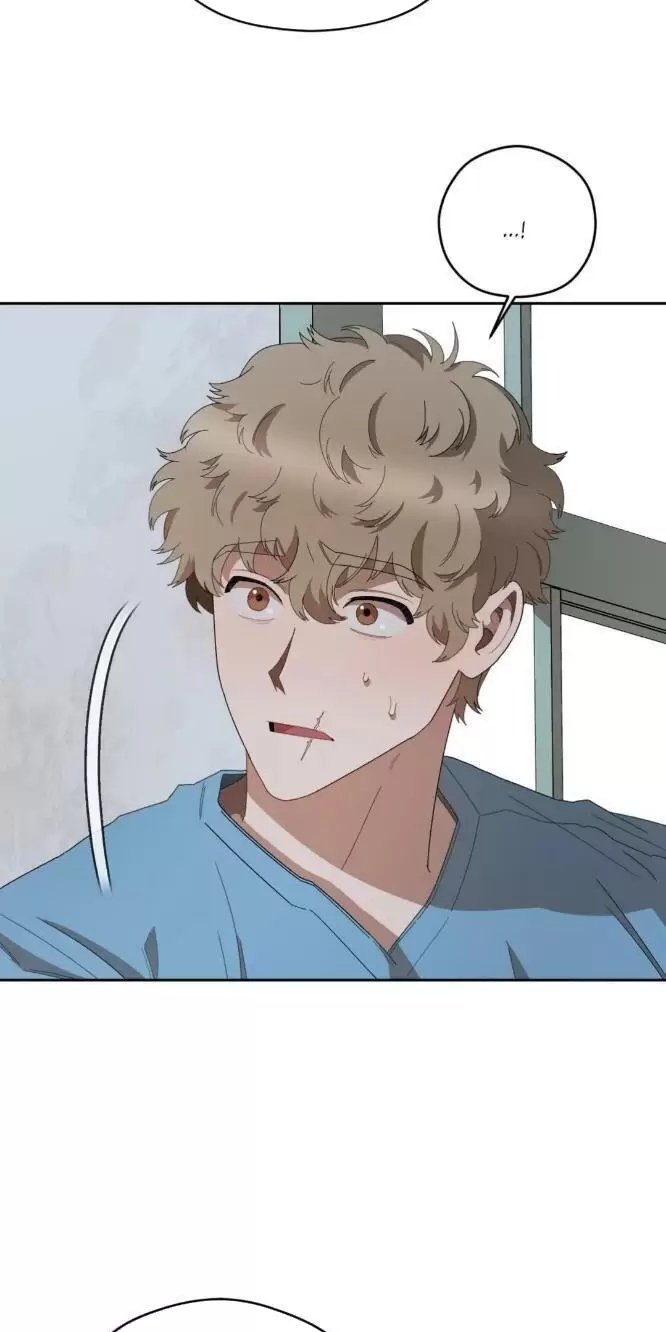 liveta chapter 31 11