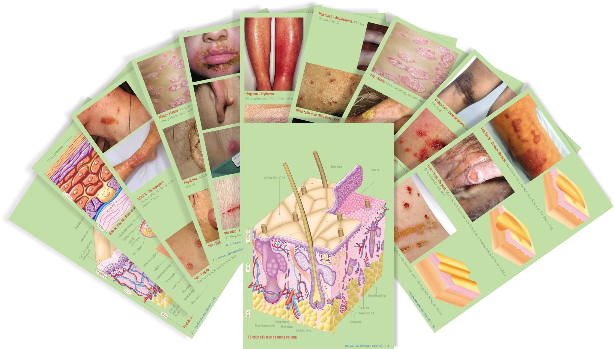 Cẩm nang điều trị Da liễu bản thứ 8 (tiếng Việt) - Manual of Dermatologic Therapeutics 8th edition - Tặng kèm Phụ chương màu &quot;Sang thương căn bản trên da&quot;