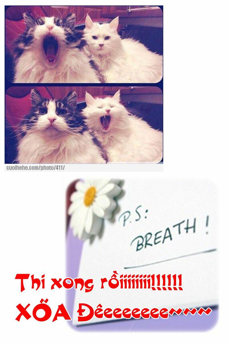 shounen dolls chapter 14 37