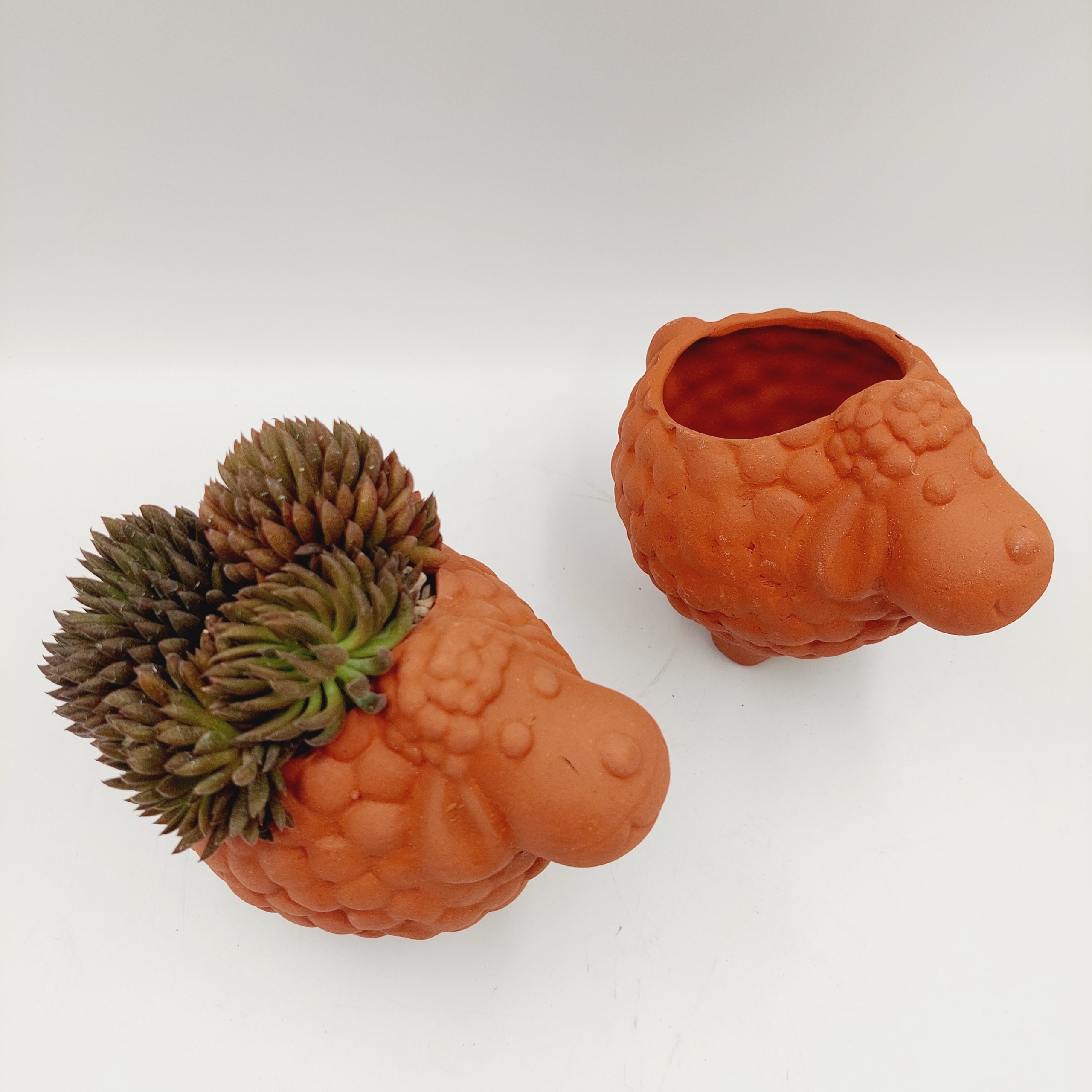 Chậu đất nung, chậu sen đá - Cừu nhi đồng, miệng chậu 7cm, chiều cao 12cm
