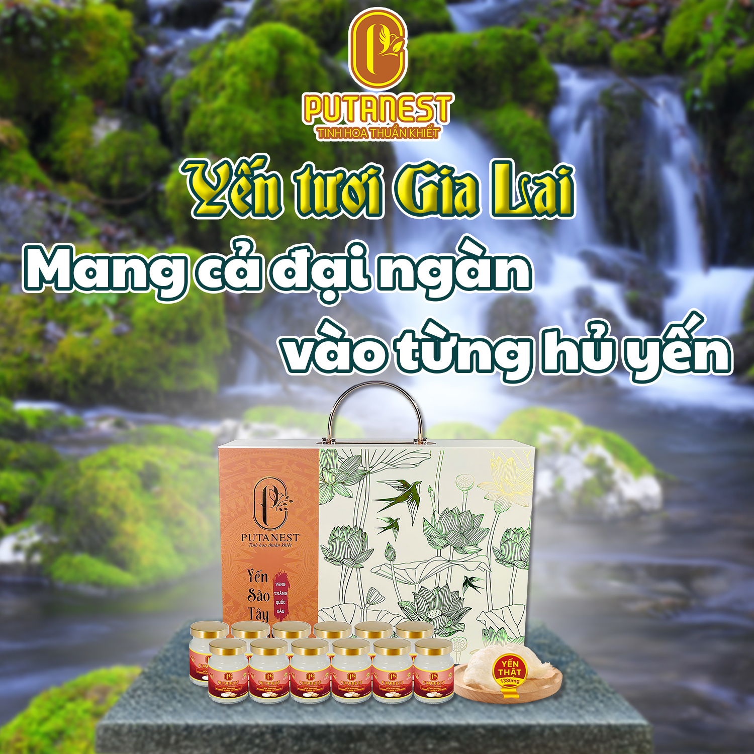Yến chưng Đường phèn PUTANEST hộp quà tặng cao cấp 12 hũ 70ml đẹp da ngủ ngon tăng sức đề kháng