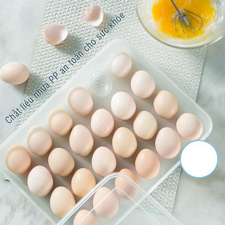 Hộp đựng trứng gà 24 quả Việt Nhật