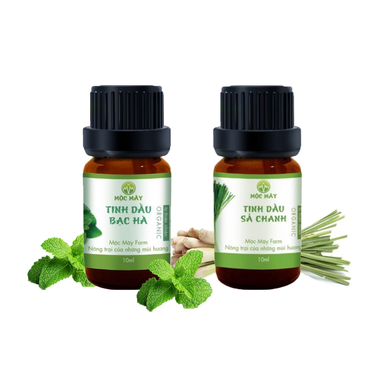 Combo 2 chai Tinh dầu thiên nhiên Mộc Mây: Tinh Dầu Sả Chanh Lemongrass 10ml+Tinh dầu Bạc Hà 10ml