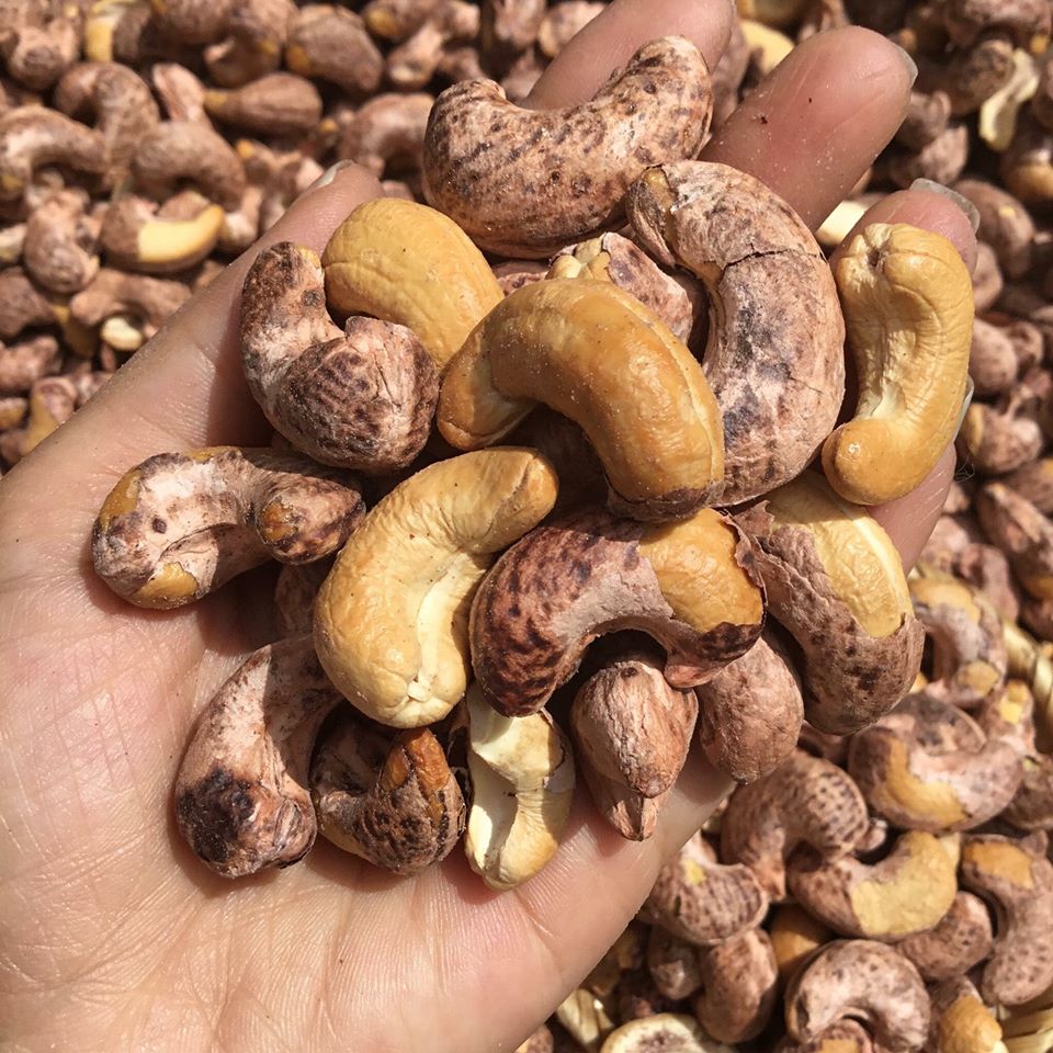 Hạt điều rang muối a cồ xuất khẩu cao cấp xếp hộp | Yotafood