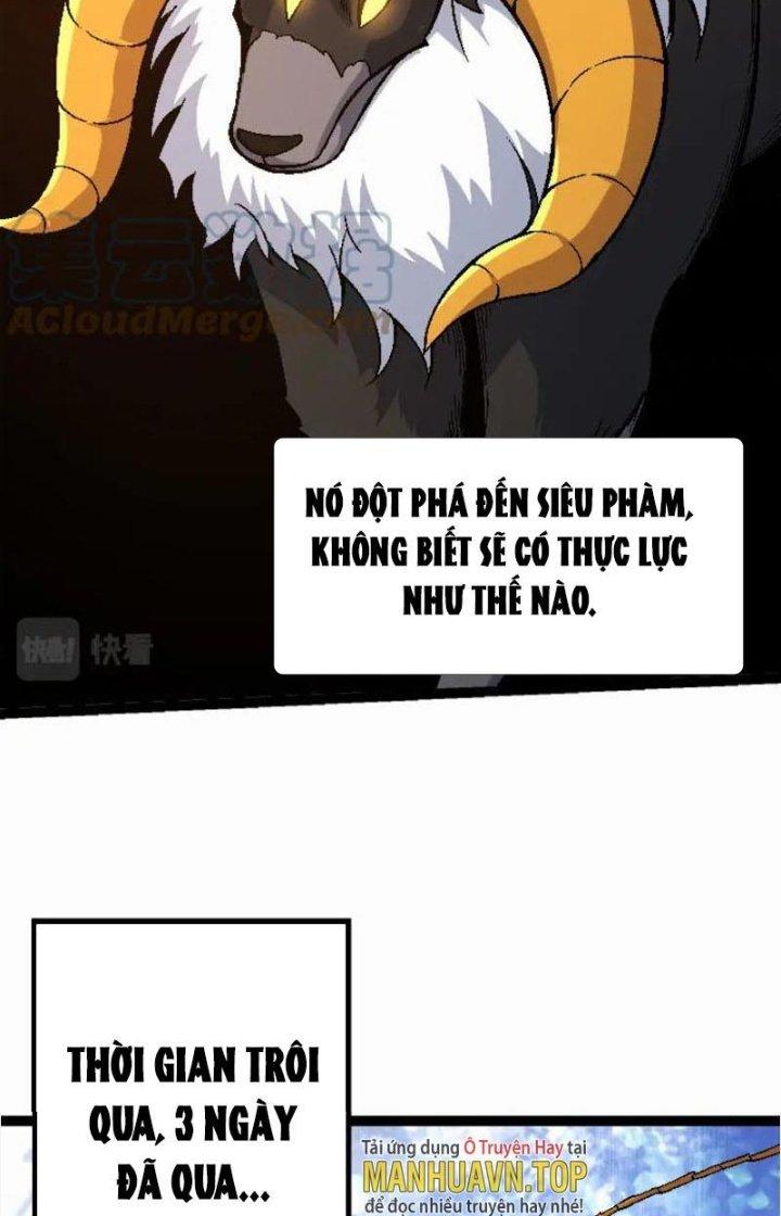 từ cây cổ thụ bắt đầu tiến hóa chapter 42 66