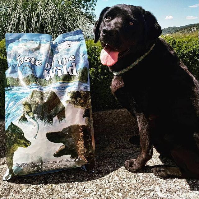 Thức Ăn Cho Chó Rottweiler Taste Of The Wild Bao 2kg - Thức Ăn Cho Chó, Vị Cá Hồi Xông Khói, Rau Củ Quả, Pacific Stream
