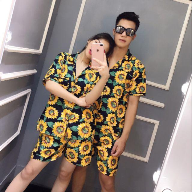 SET BỘ HOA HƯỚNG DƯƠNG KATE THÁI